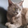 kiwi_0303