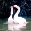 tatiana1234567890p
