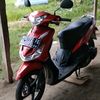 bugis.aril