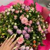1.aliyeffha_