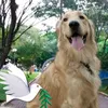 freddyretriver4