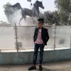 saeif205
