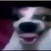 dyby9sxj0ilh