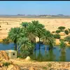 alharbi1099