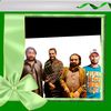 amirsaleem33322214