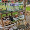 hafit_metrorabbit26