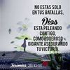 yolandabn77