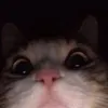 userjcnvrmop0e