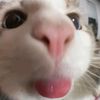 kitty14jk