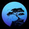 habibaahmed7162