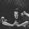 1313mockingbirdlanee