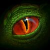 dragonqn1977
