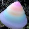 rainbowcottoncandygirl97