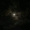 _lr47