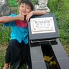 bmy252