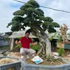 xuanrau87