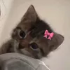 laraahxt