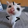 m_taaammm