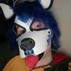 pupspike13