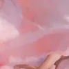 fliegendesreh
