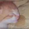 liquidbodysoap