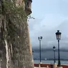coquivibez