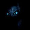 t.nighfury
