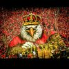 mohamedabdo3455