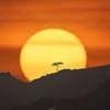 tara._222