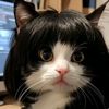 itsmeyouarlookingfor