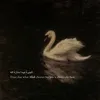 fatiiimaa_61