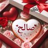 user8656383618132