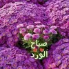 user8830218834357