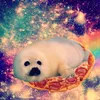 pessoal_normal0