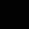 skan_001