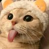 user123bb8