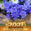 elieterosa277