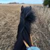 cedargrovefarm101