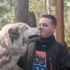 the_wolfkissed