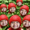 pinyapat45