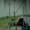 tareq_184n0