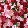 user4403158038724