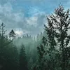 real_jacob09