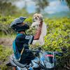 chethi_v_1