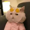cothaoxg