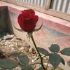 amdadulhaque252