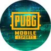 PUBG MOBILE Esports