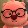 pricious_imnidaa
