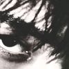 joe75566