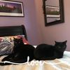 rebeccachater701